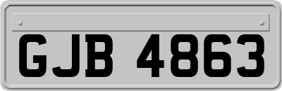 GJB4863