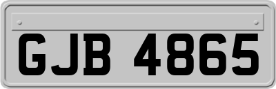 GJB4865