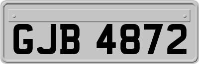 GJB4872