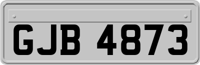 GJB4873