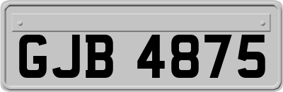 GJB4875