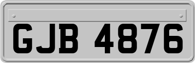 GJB4876