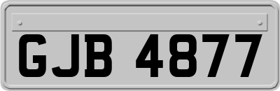 GJB4877