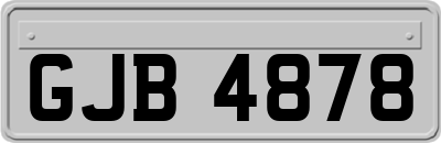 GJB4878