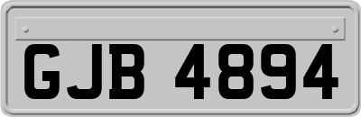GJB4894