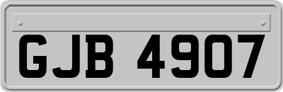 GJB4907
