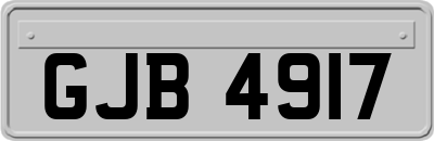 GJB4917