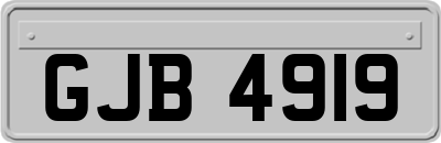 GJB4919