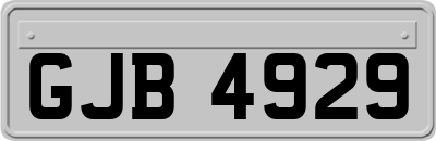 GJB4929
