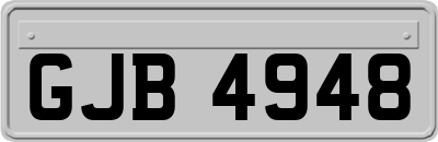 GJB4948
