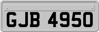 GJB4950