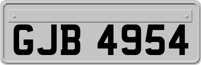 GJB4954
