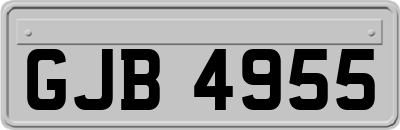GJB4955