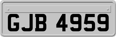 GJB4959