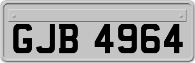 GJB4964