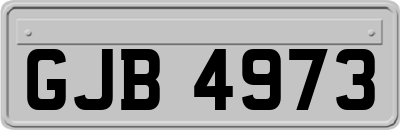 GJB4973