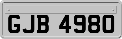 GJB4980