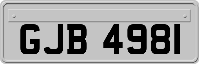 GJB4981