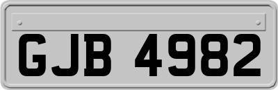 GJB4982