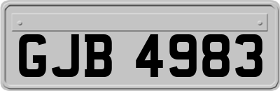 GJB4983