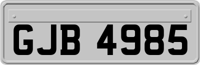 GJB4985