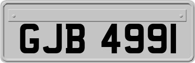 GJB4991
