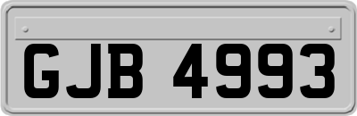 GJB4993
