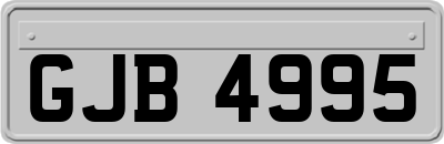 GJB4995
