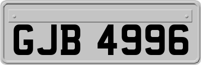 GJB4996