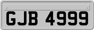 GJB4999