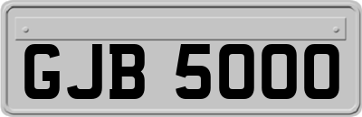 GJB5000