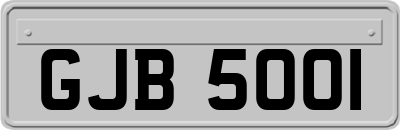 GJB5001