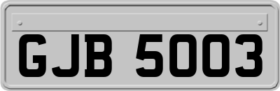 GJB5003
