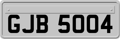 GJB5004