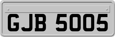 GJB5005