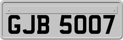 GJB5007
