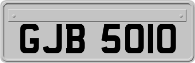 GJB5010