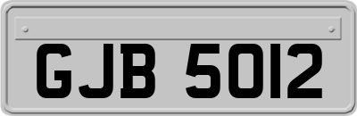 GJB5012