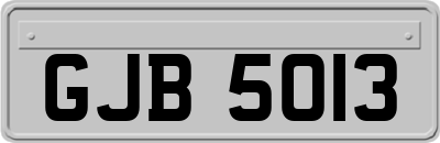 GJB5013