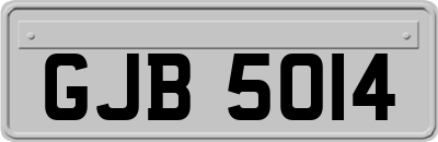GJB5014