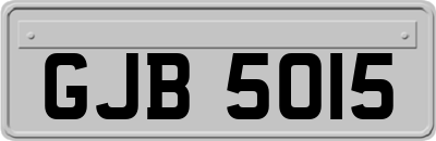 GJB5015