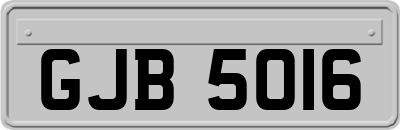 GJB5016