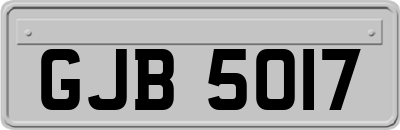 GJB5017