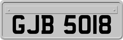 GJB5018