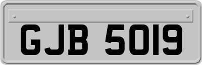 GJB5019