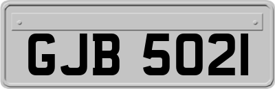 GJB5021