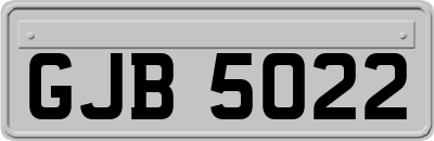 GJB5022