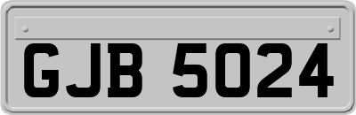 GJB5024