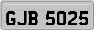 GJB5025