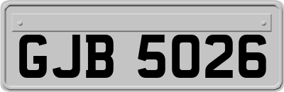GJB5026